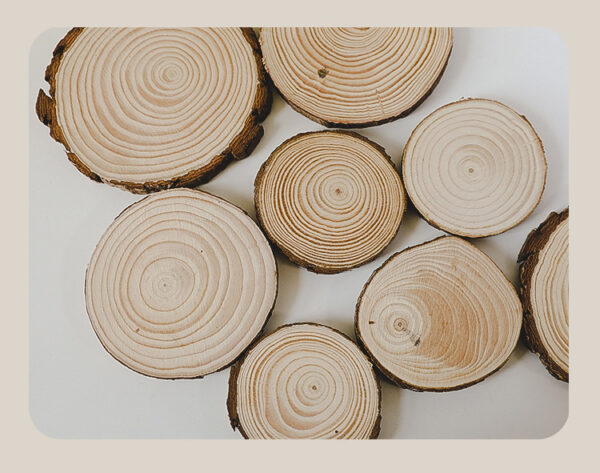 Natural wood Timber Coasters - Image 3