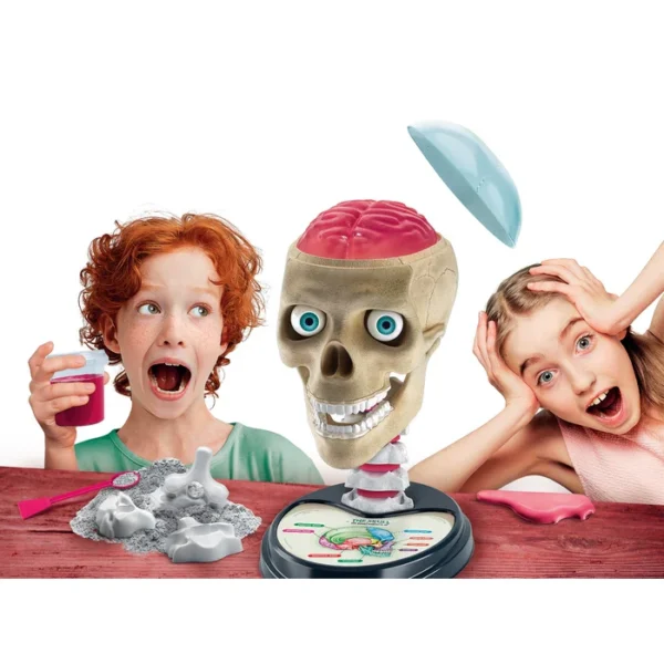 Clementoni Montessori Crazy Anatomy Lab 61520 - Image 5