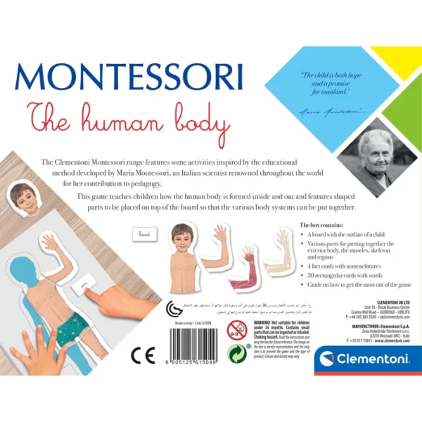 Clementoni Montessori The Human Body - Image 3